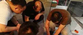 你見過如此認(rèn)真對待工作的南寧裝飾公司師傅們嗎？