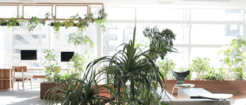 南寧田園風(fēng)辦公室裝修案例 燦源裝飾分析