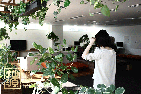 田園風(fēng)辦公室裝修 田園風(fēng)辦公室裝修