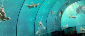 辦公室裝修可以任性到什么程度 你見過海底和空中的辦公室嗎？