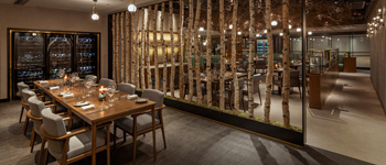 充滿生命力的創(chuàng)意餐廳設(shè)計案例 香港根須創(chuàng)意餐廳設(shè)計