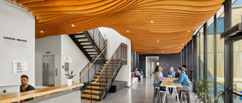 校園大廳裝修設計熱潮漸顯  國內學校能借鑒就牛逼了