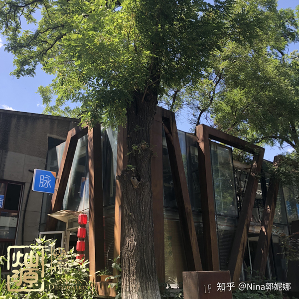 知乎F輪4.5億融資實(shí)錘 【多圖】探究知乎歷輪融資歷史及你不知道的知乎公司辦公室